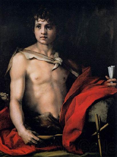 Andrea del Sarto St John the Baptist Spain oil painting art